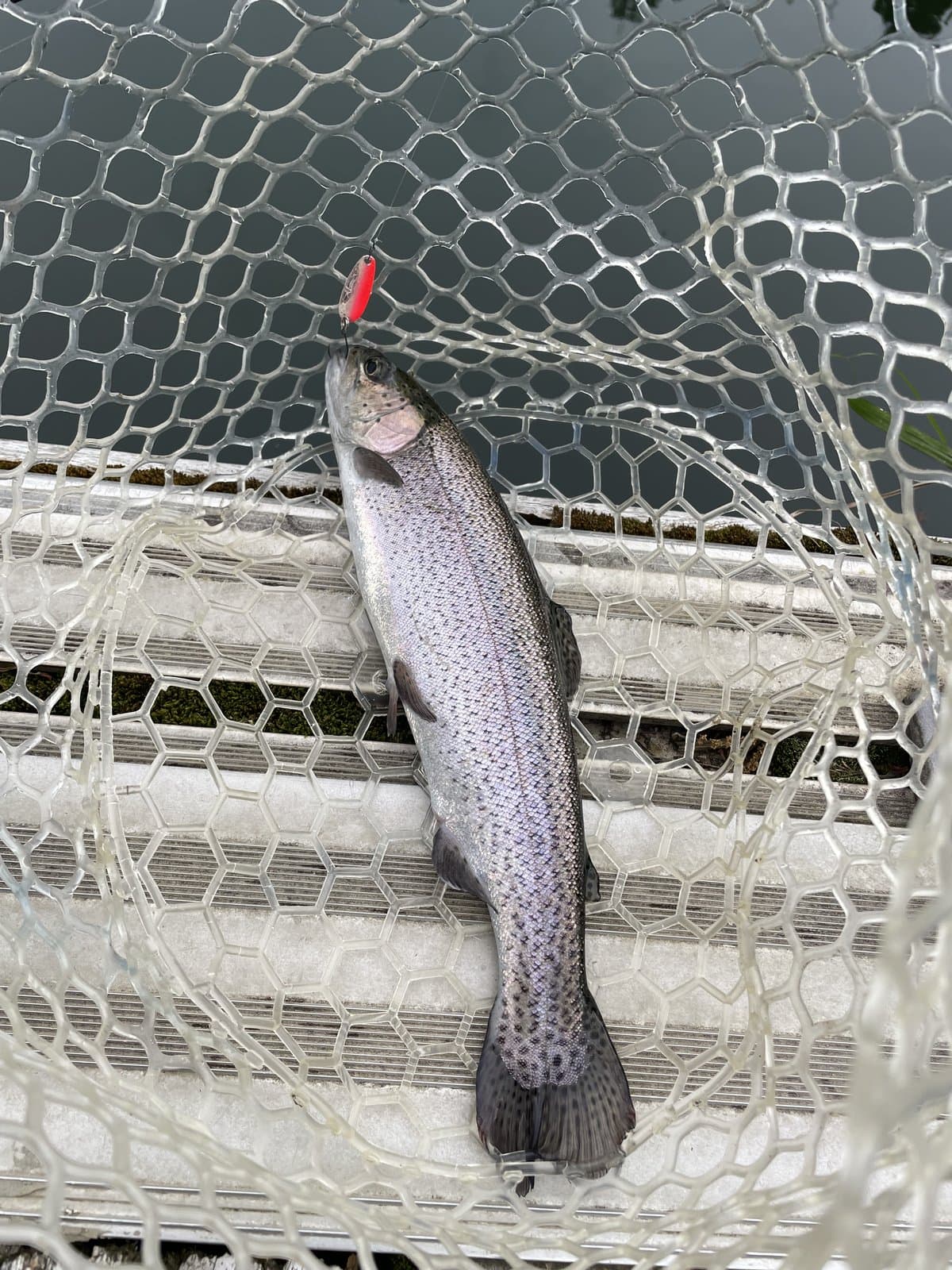 釣り活動🎣